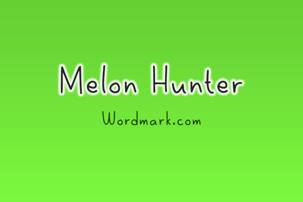 Logo of the Melon Hunter font